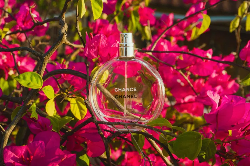 Dressing Your Senses: A Seasonal Guide to Rotating Your Fragrance Wardrobe